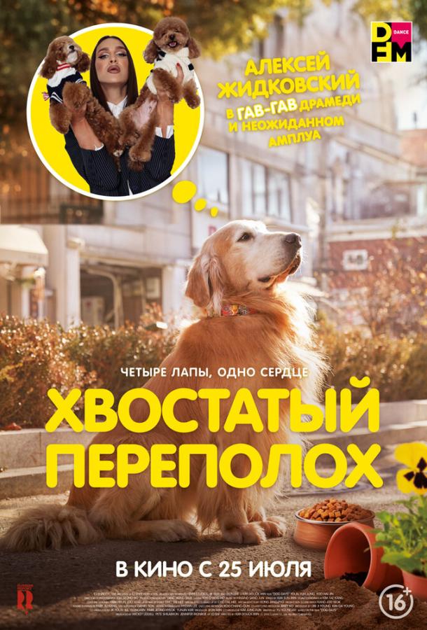 Хвостатый переполох 2024 Смотреть Онлайн Бесплатно в Хорошем Качестве